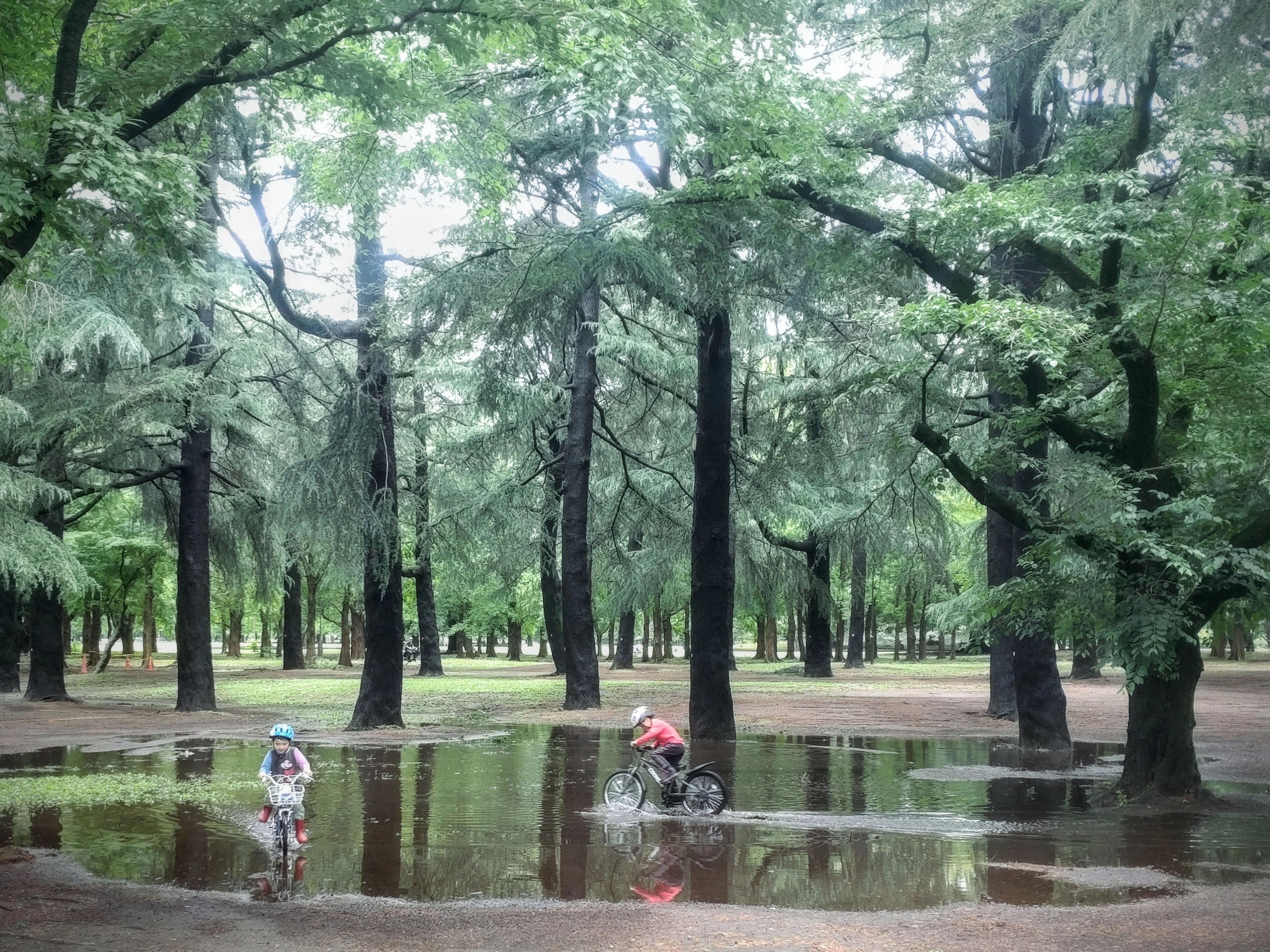 野川公園