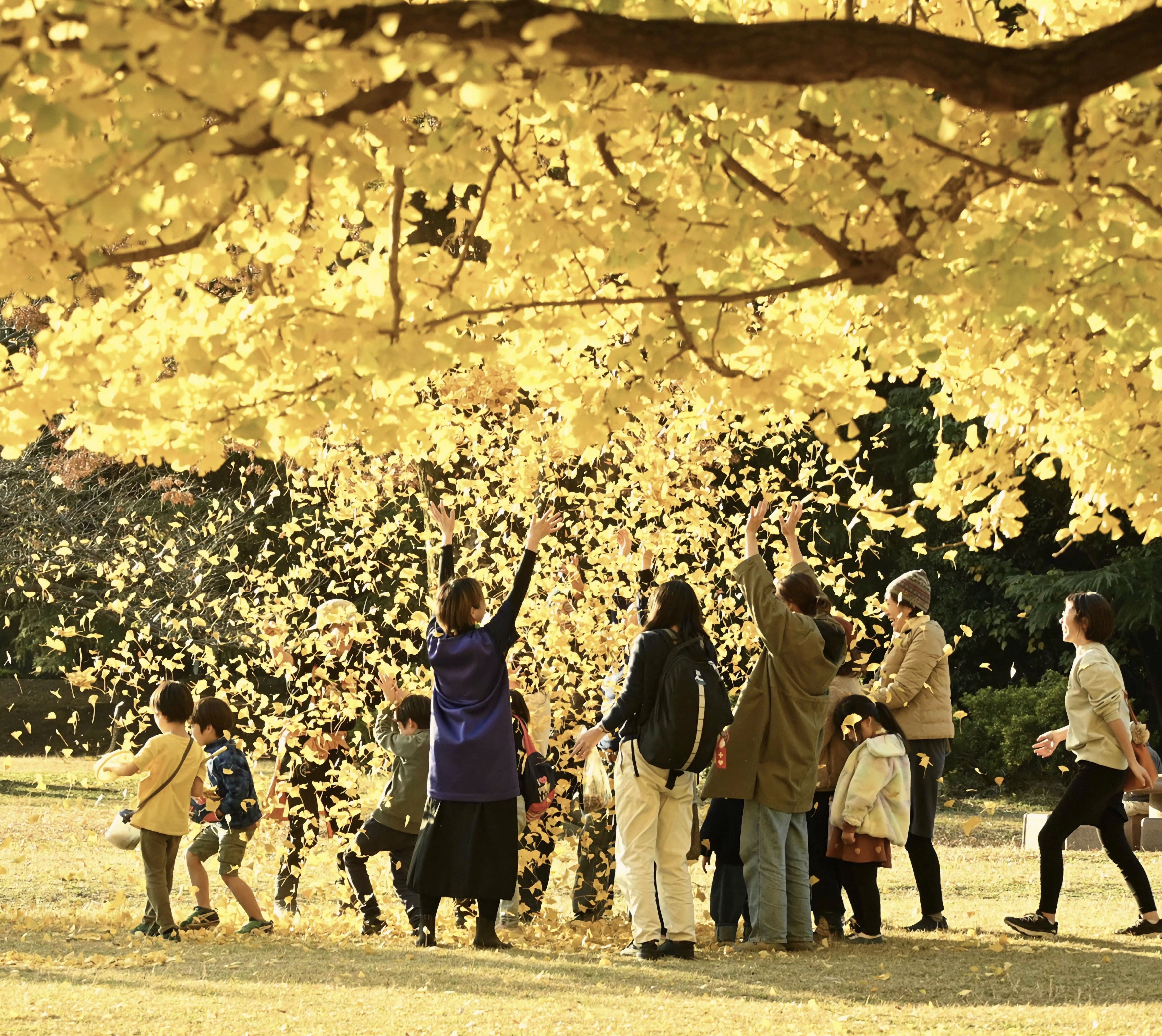 光が丘公園