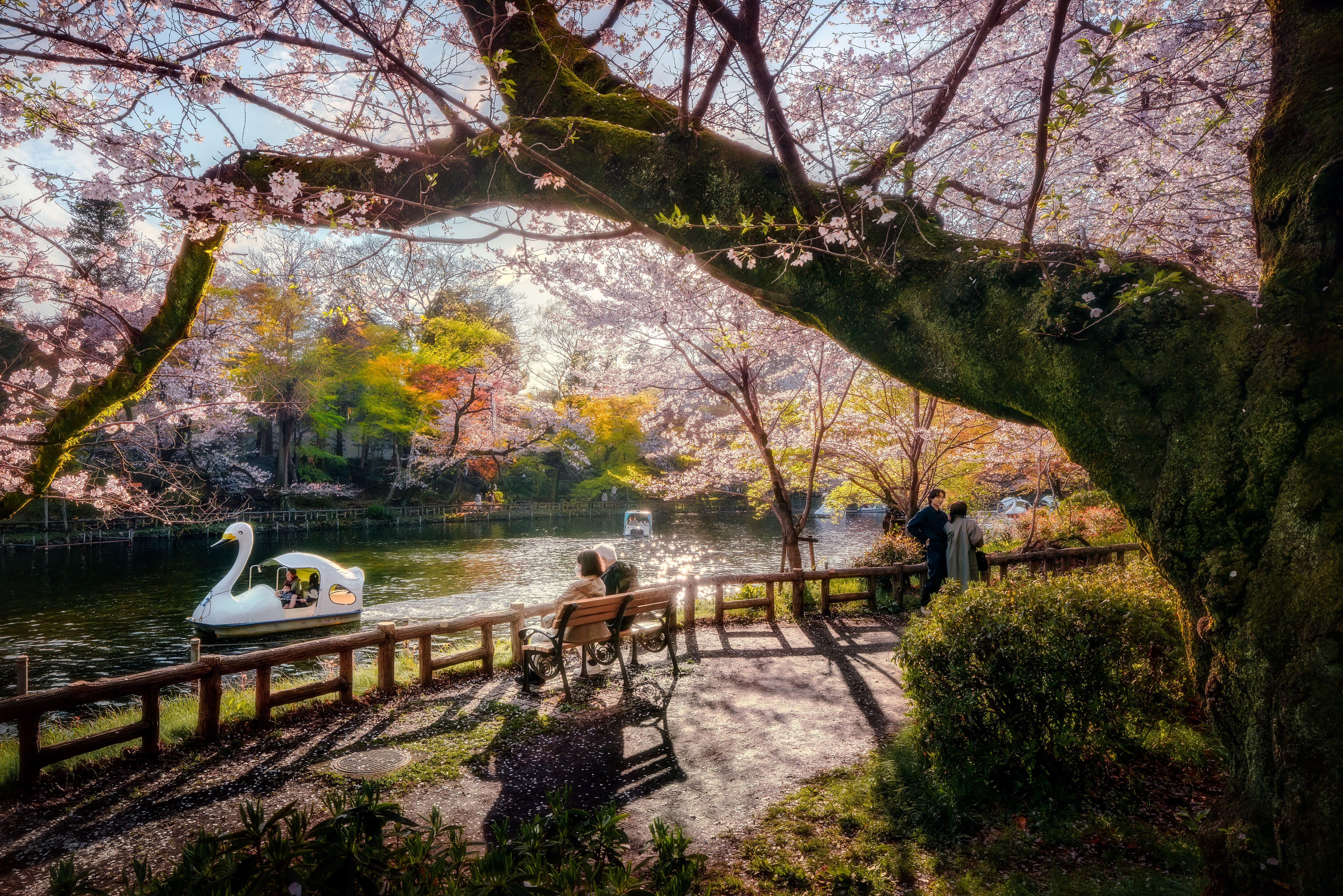 井の頭恩賜公園