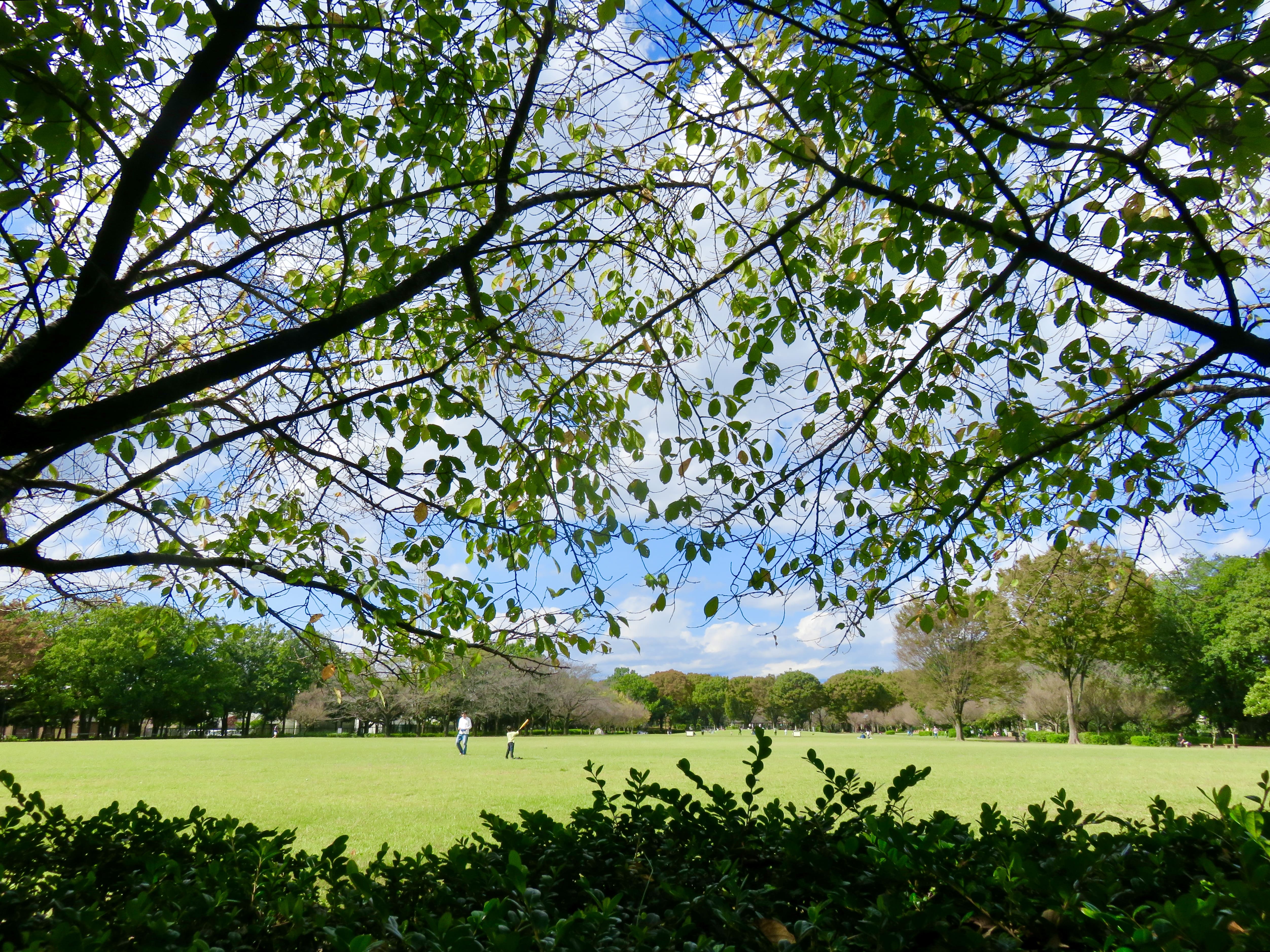 東村山中央公園