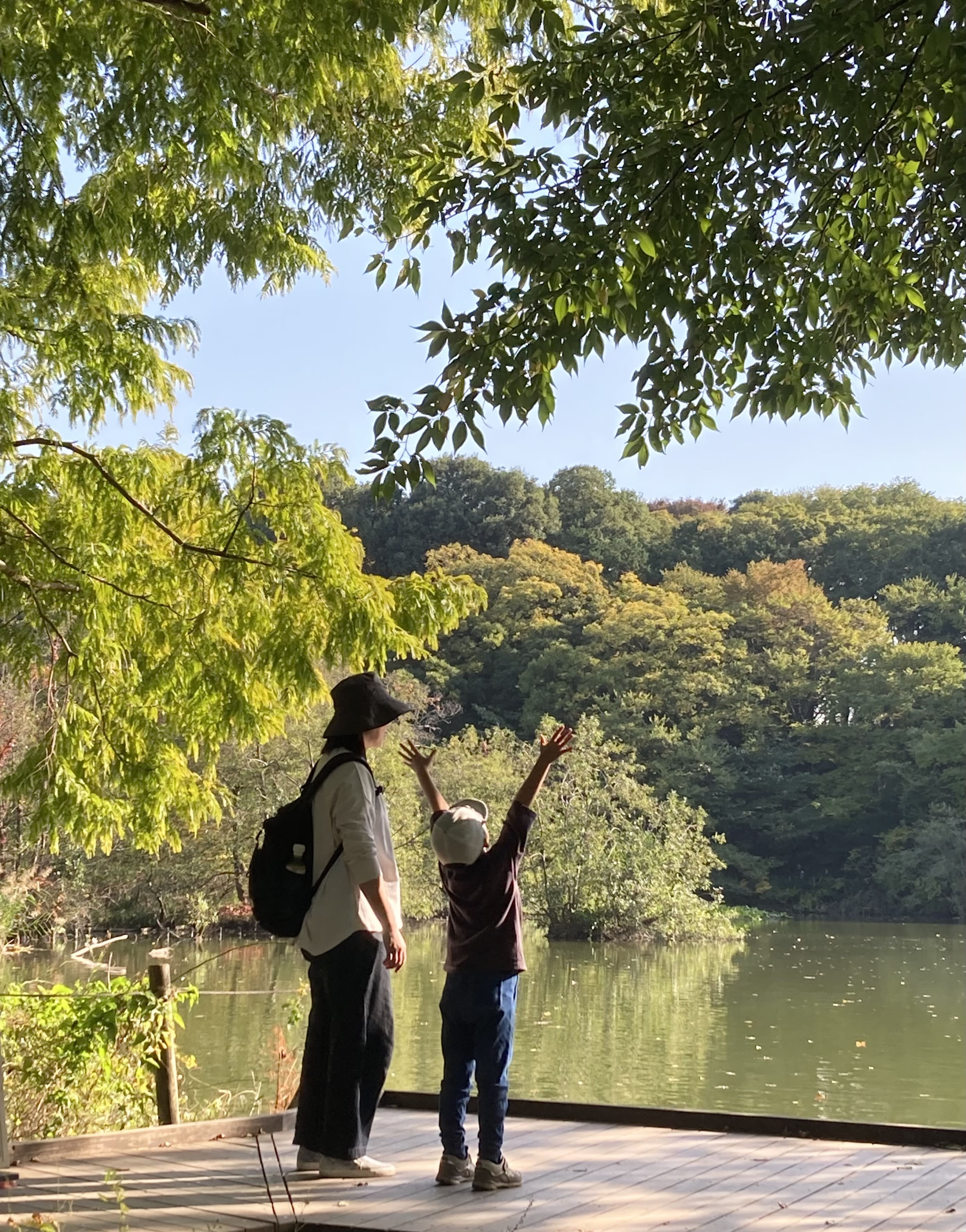 石神井公園