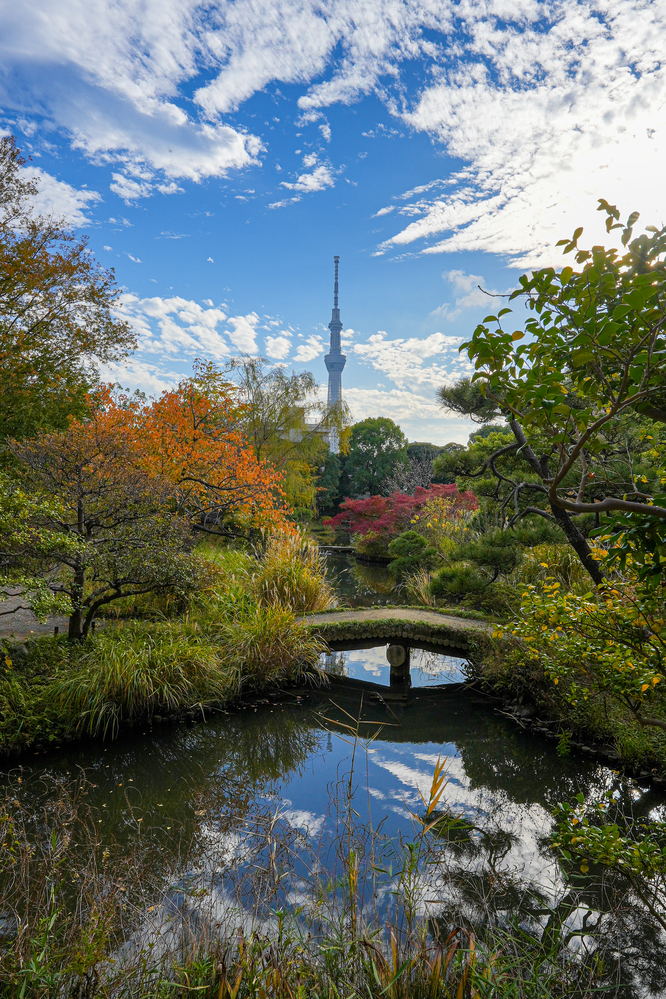 向島百花園