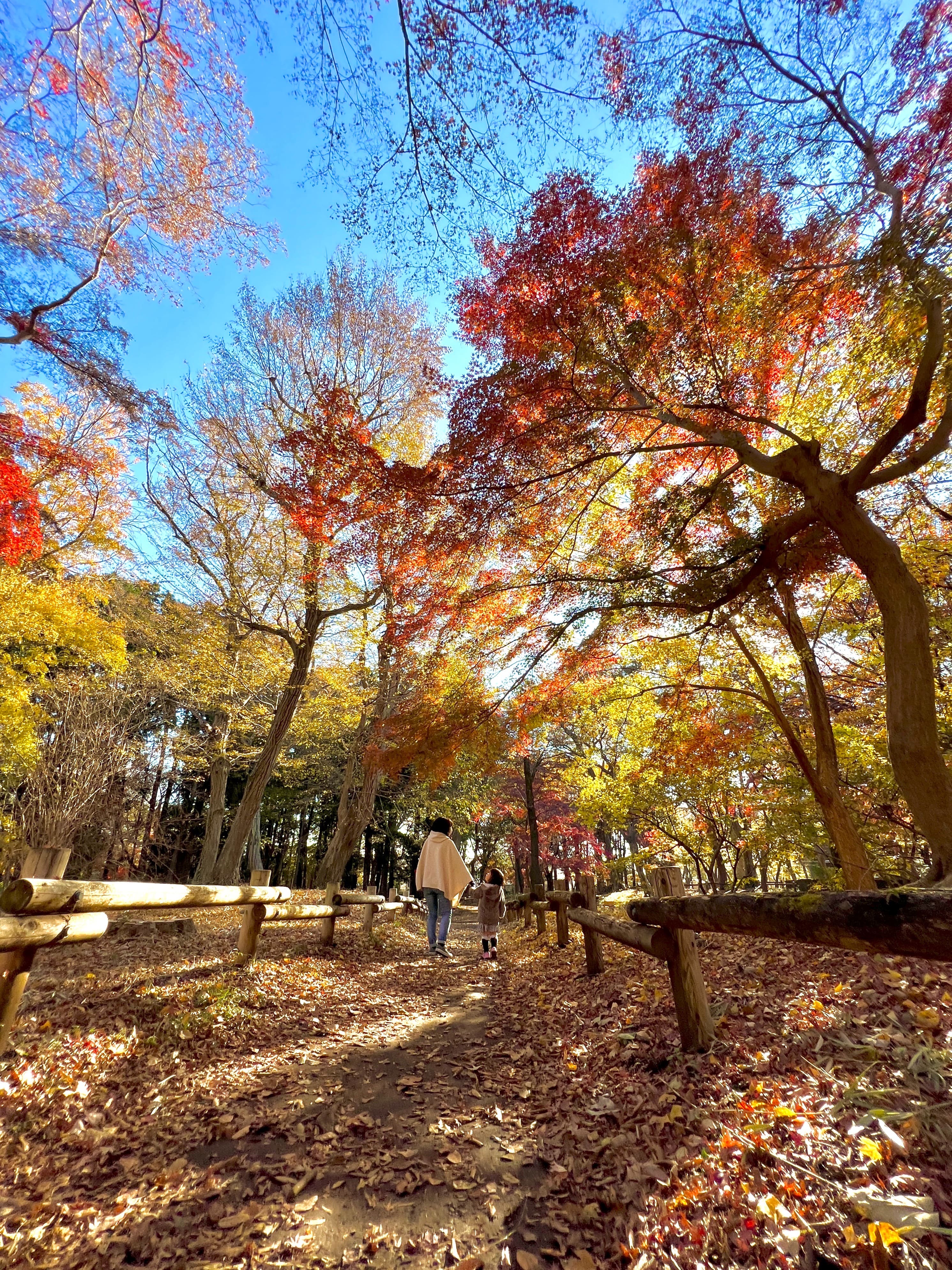 井の頭恩賜公園