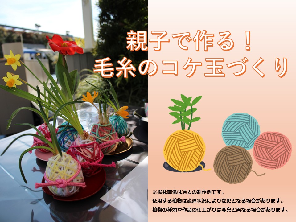 【2026後期】親子で作る！毛糸のコケ玉づくり