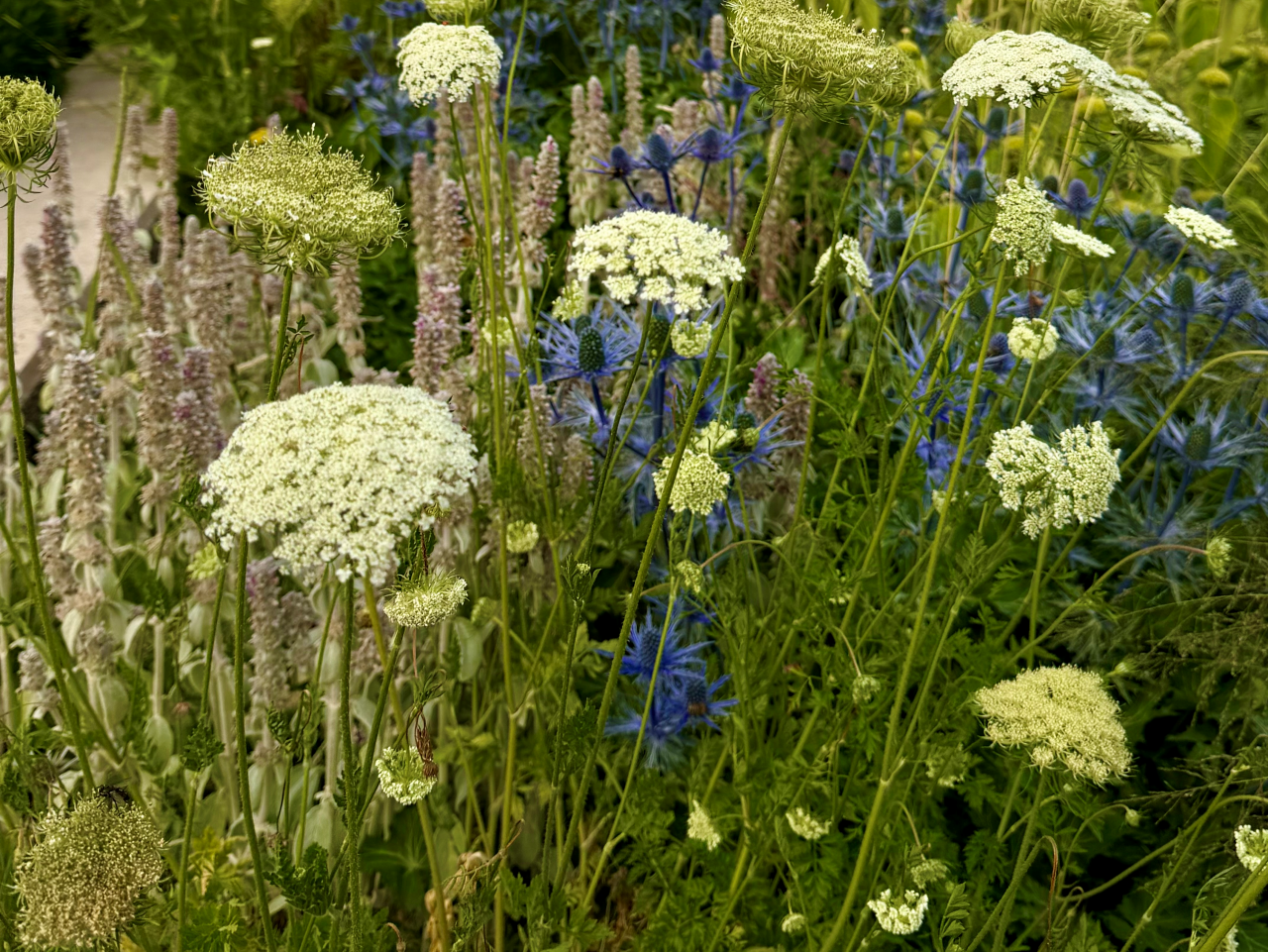 25_花の庭から自然の庭へ