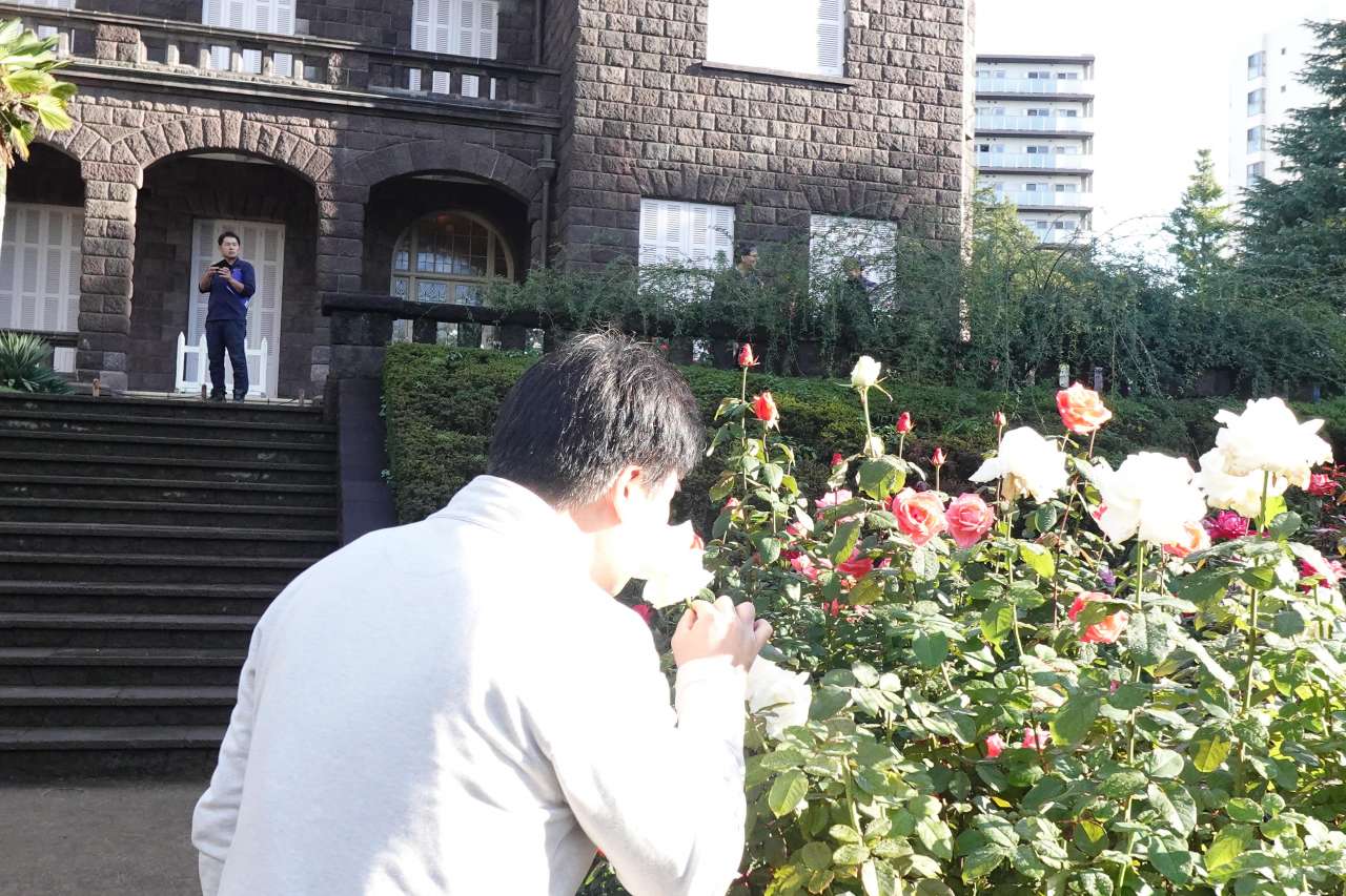 旧古河庭園251101庭さんぽ (25)