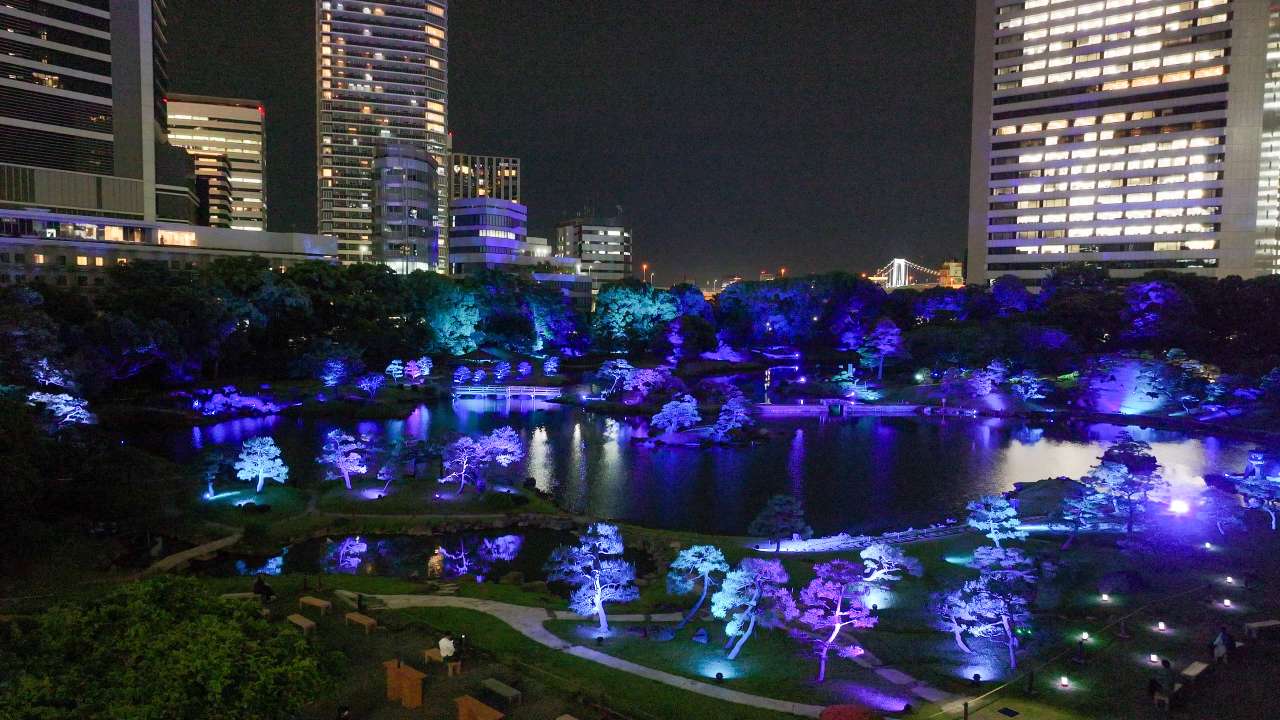 旧芝離宮夜会2026（ライトアップショー）