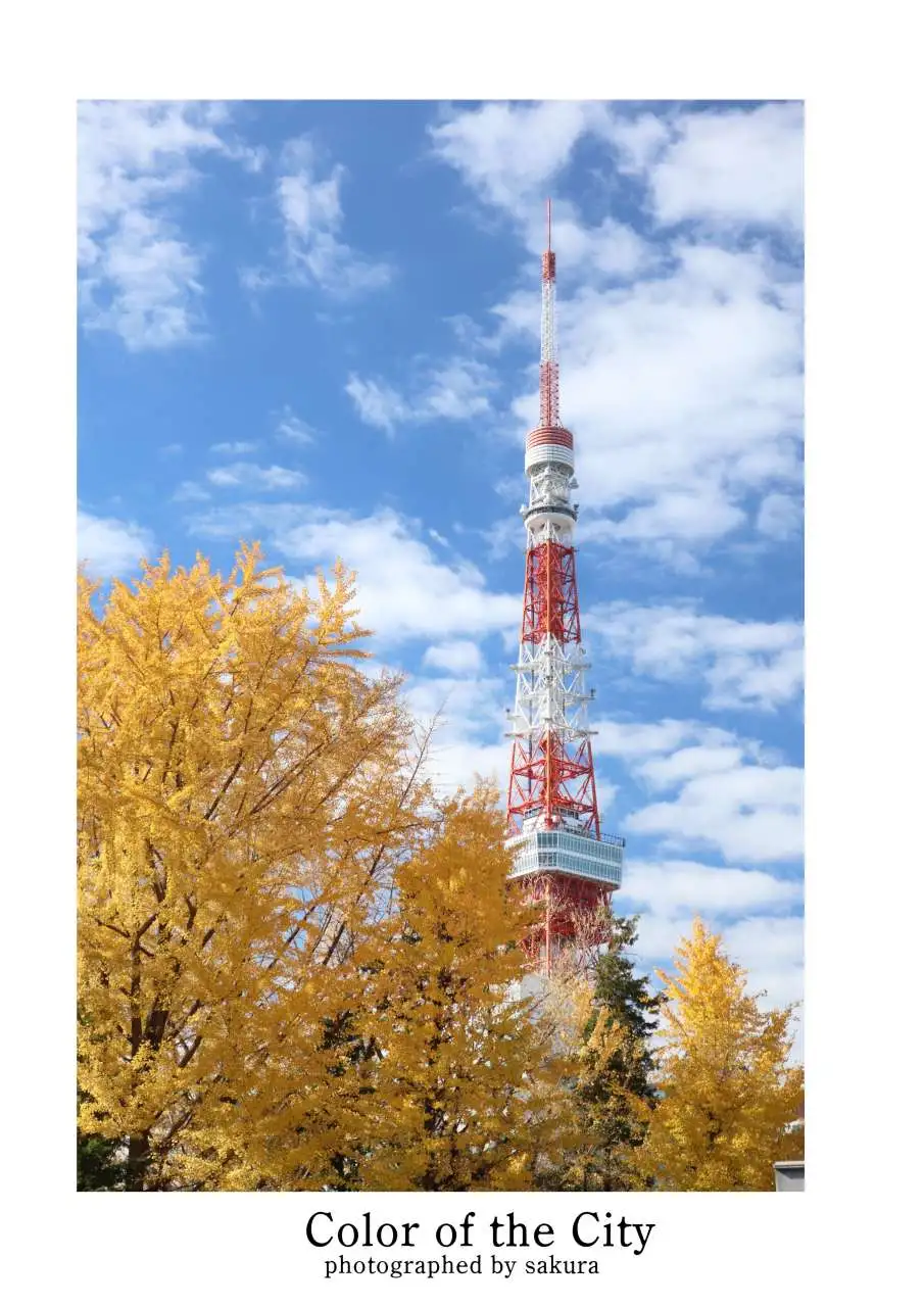 sakura