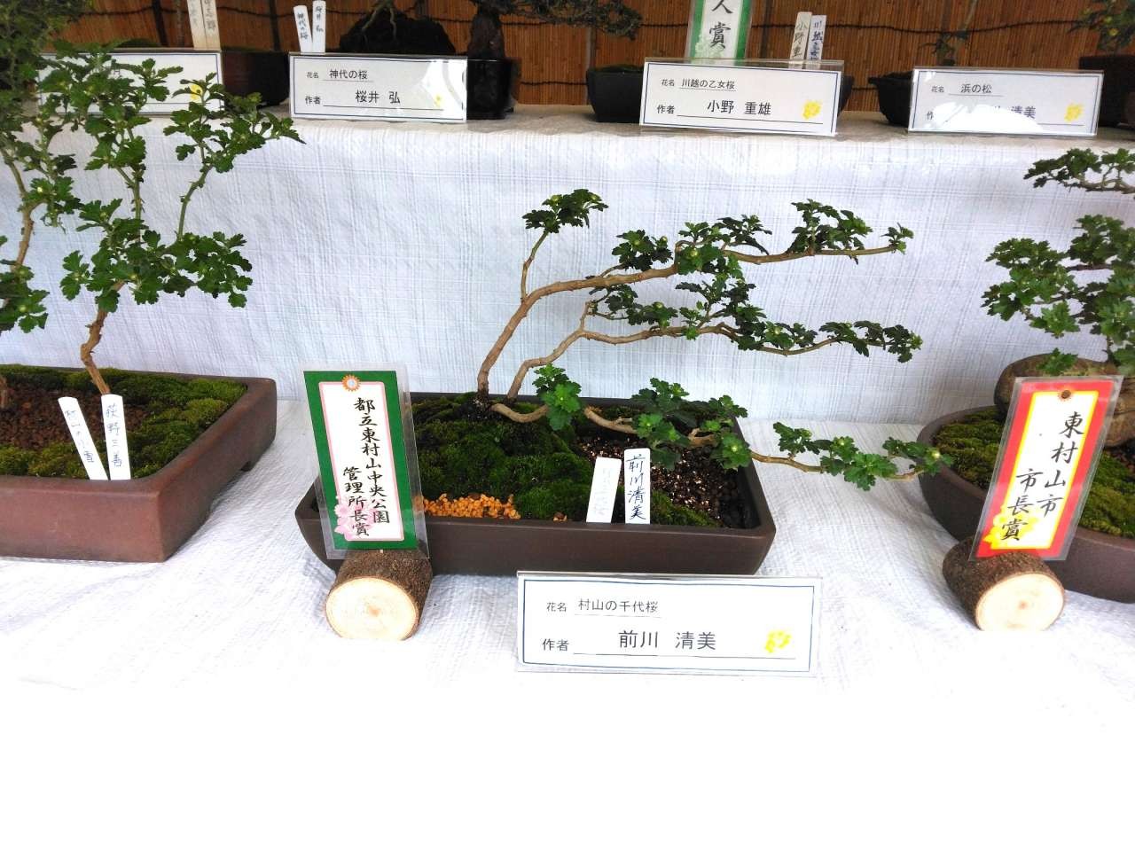小菊展_03