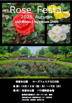 表面