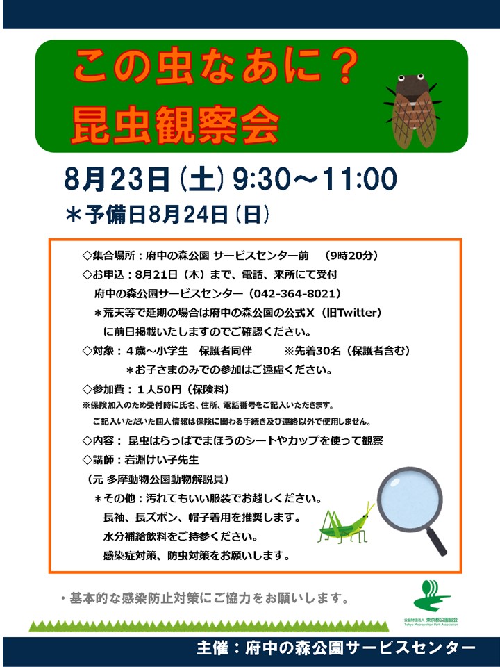 昆虫観察会チラシ