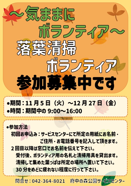 落葉ボランティア