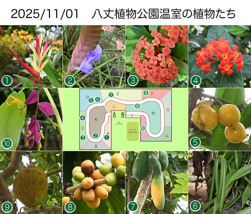 Twitter＆HP用251101