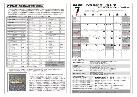 kokkome2207_2_02