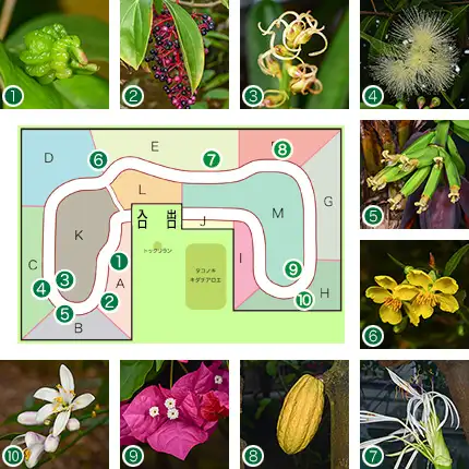 240301green