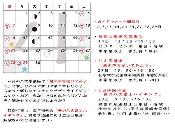2404