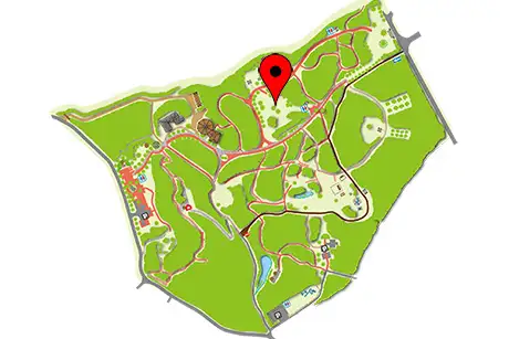 250120_mochinoki_1g_map