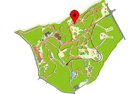 250225_hinokibayadorigi_map