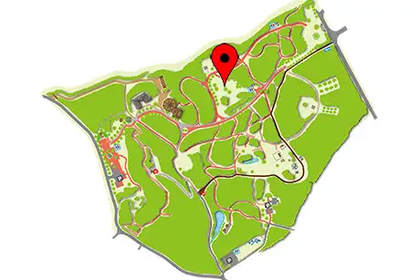 250306_mochinoki_map