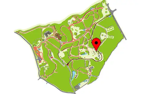250419_matubaunran_map