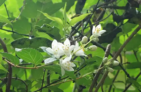250515_utugi