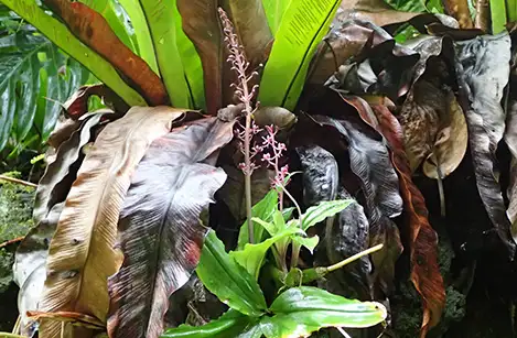 250518_simasasabaran