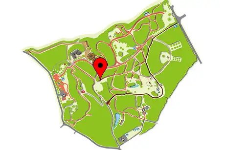 250519_kidachichousenasagao_map