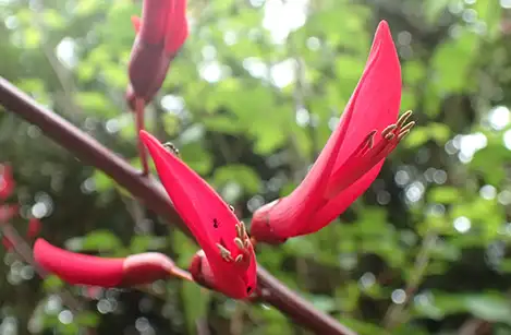 250521_hisibadeigo