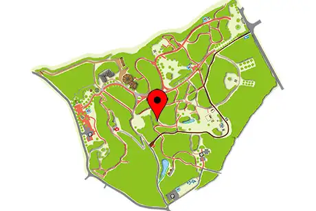 250611_sakuraran_map