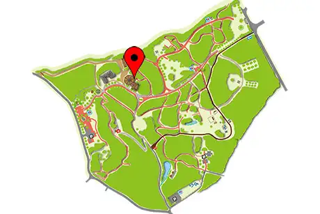 250703_pineapplelily_map