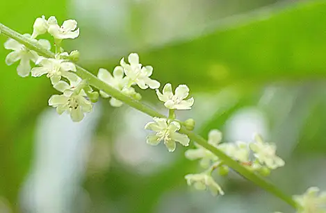 250706_onidokoro