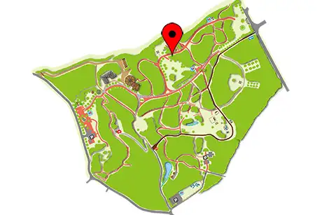 250806_sarusuberi_map