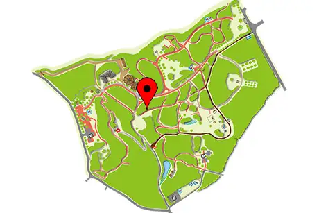 250924_monsutera_map