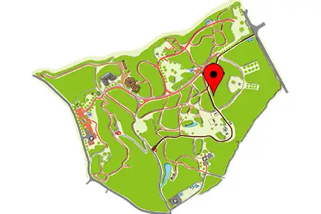 251128tsuwabuki_map