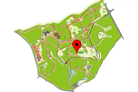 251204hazenokinokouyou_map