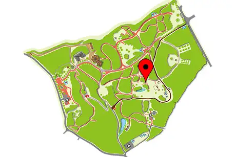 251204huutoukazura_map