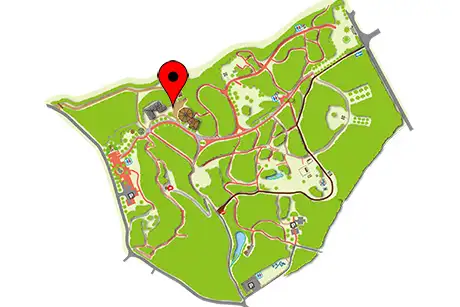 251227yabutsubaki_map
