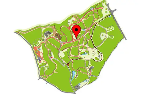 260204mochinoki_map