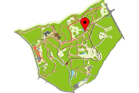 260304hanamomo_map