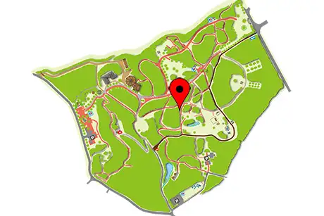 260309ooshimazakura_map