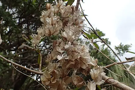 260318onidokoronomi