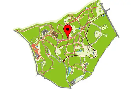 260321tabunoki_map