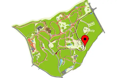 260406someiyoshino_map