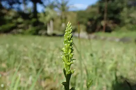 260408nirabaran