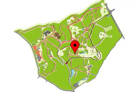 260427burashinoki_map