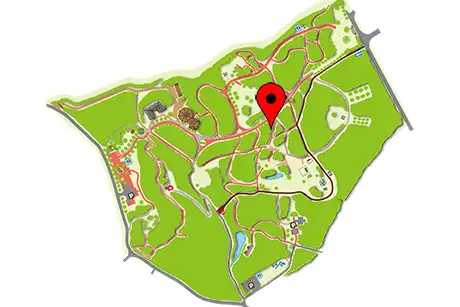 260601hishibadeigo_map