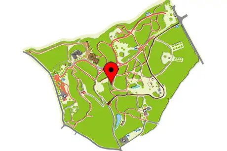 260616sakuraran_map