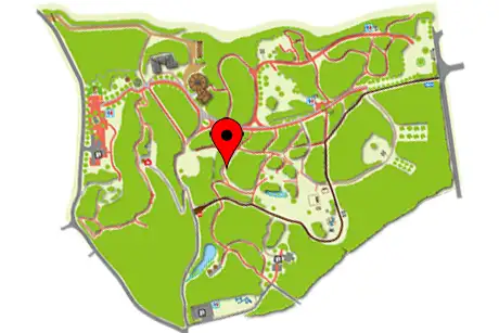 260924monsutera_map