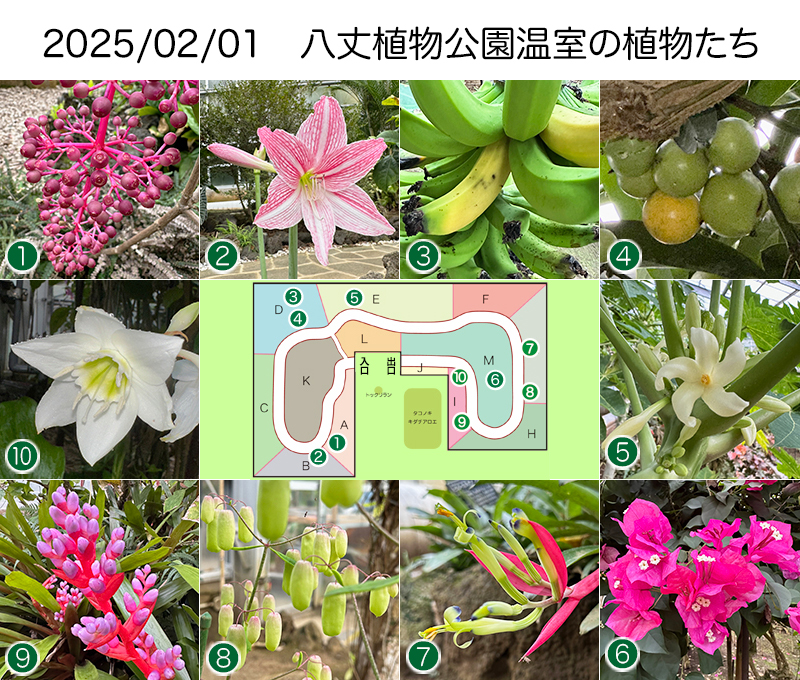 Twitter＆HP用2025_02-01
