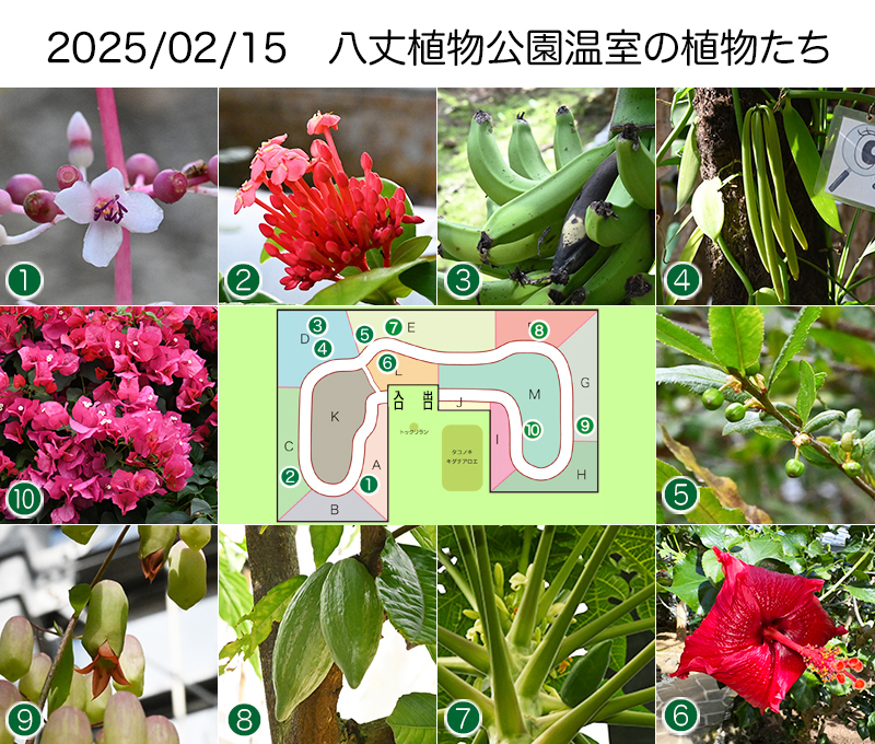Twitter＆HP用2025_02-15